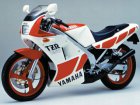 1986 Yamaha TZR 250